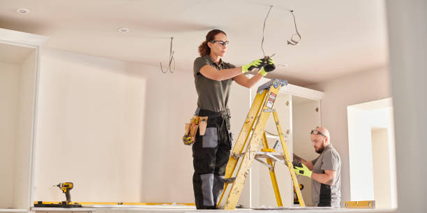 Best Electric Panel Repair  in Schnecksville, PA