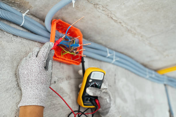 Best Ceiling Fan Installation Electrician  in Schnecksville, PA